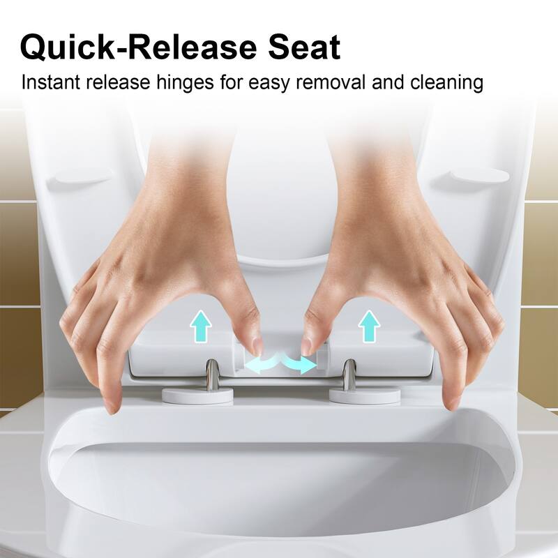 HOROW White One Piece Dual Flush Elongated Toilet 10 Inch Rough In 0.8/1.28 GPF WaterSense - N/A