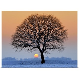 Lone Tree Against Light In Icy Winter Sunset Fields Covered With Snow Multi Color Overstock Com Shopping The Best Deals On Unframed Prints
