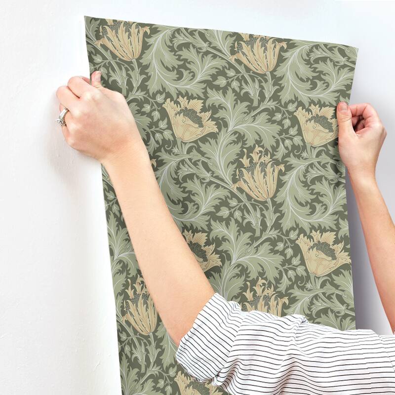 A-Street Prints Parget Skog Olive Textured Wallpaper