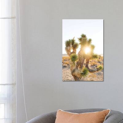 iCanvas "Nevada Desert Sunrise II" by Bethany Young Canvas Print