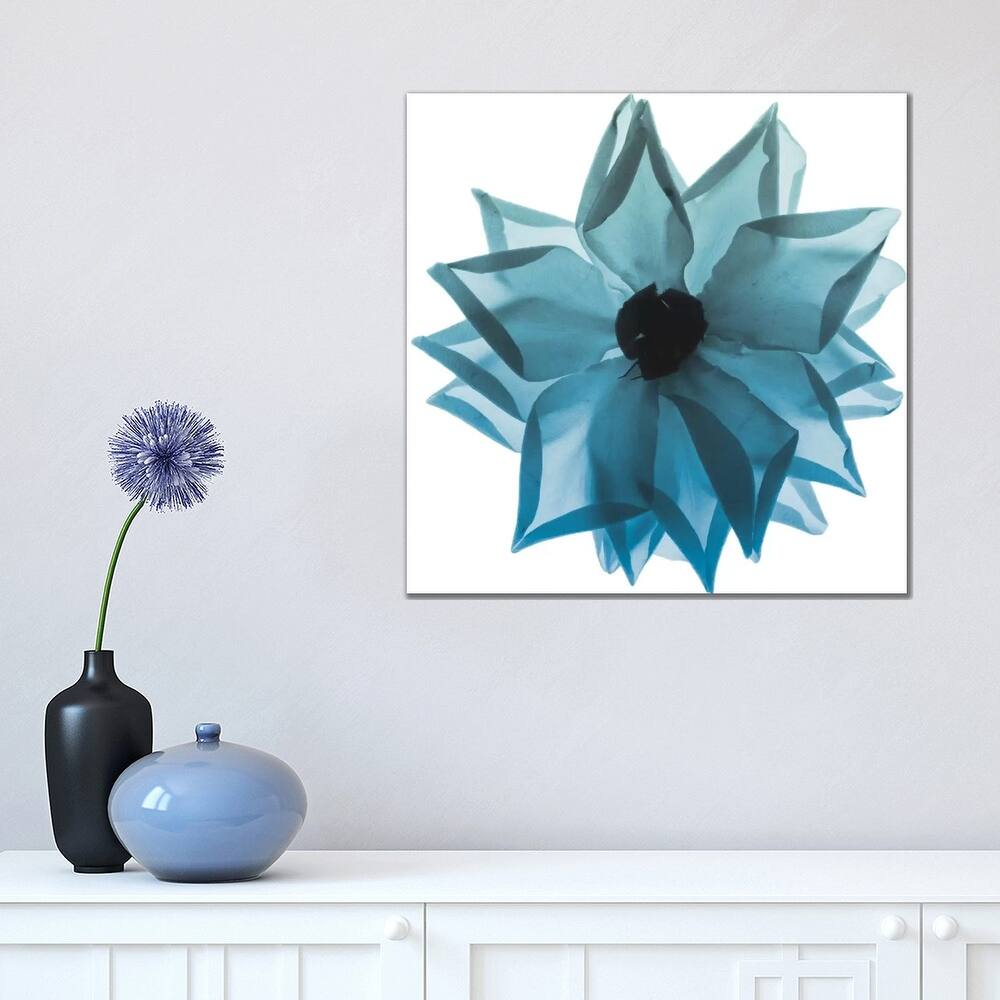 iCanvas "Rose Petal Blues I" by Albert Koetsier Canvas Print