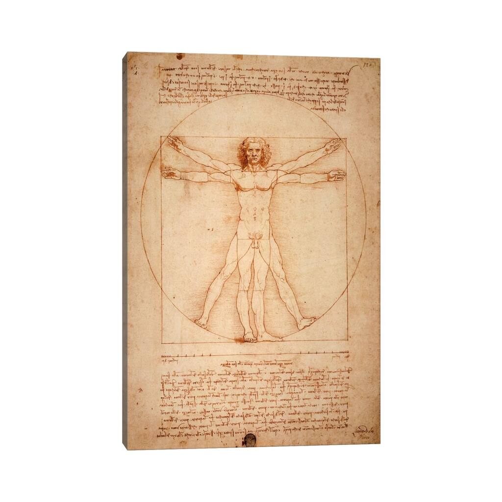iCanvas "Vitruvian Man, c. 1490" by Leonardo da Vinci Canvas Print