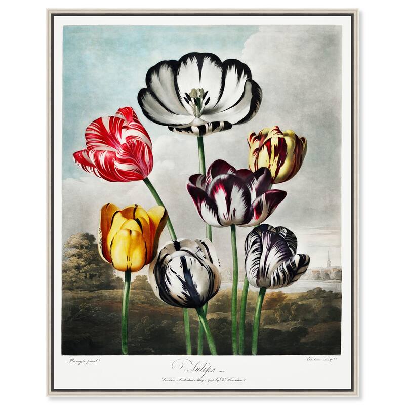 Tulips 1807 Canvas by Art Remedy - Silver - 24" x 30"