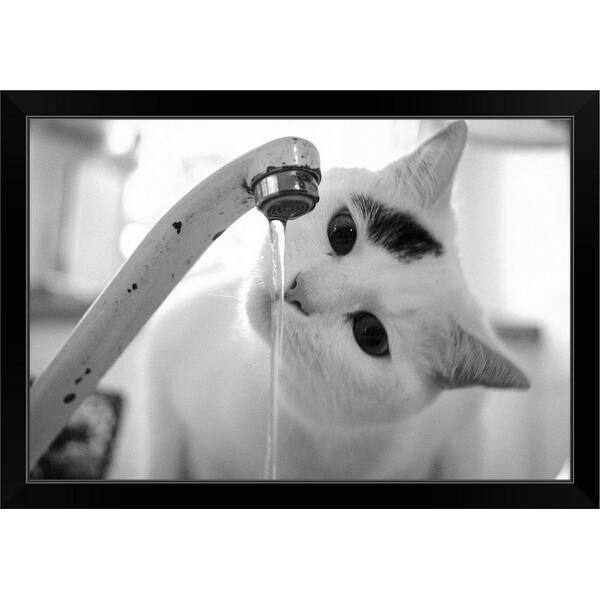 Shop Cat Drinking Water From Faucet Black Framed Print Free