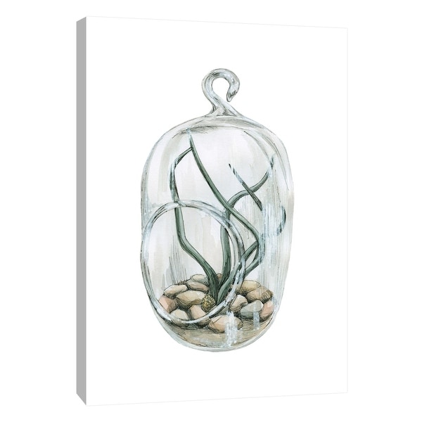 PTM Images 9-105441 PTM Canvas Collection 10" x 8" - "Air Plant 1" Giclee Botanical Art Print on Canvas