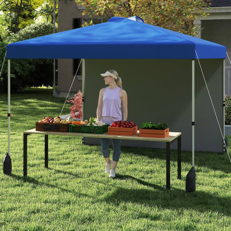 10x10 FT Pop Up Canopy Tent with Sidewall and Wheels for Outdoor