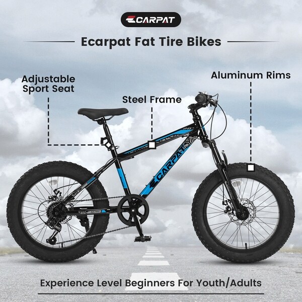 20 inch fat bike top
