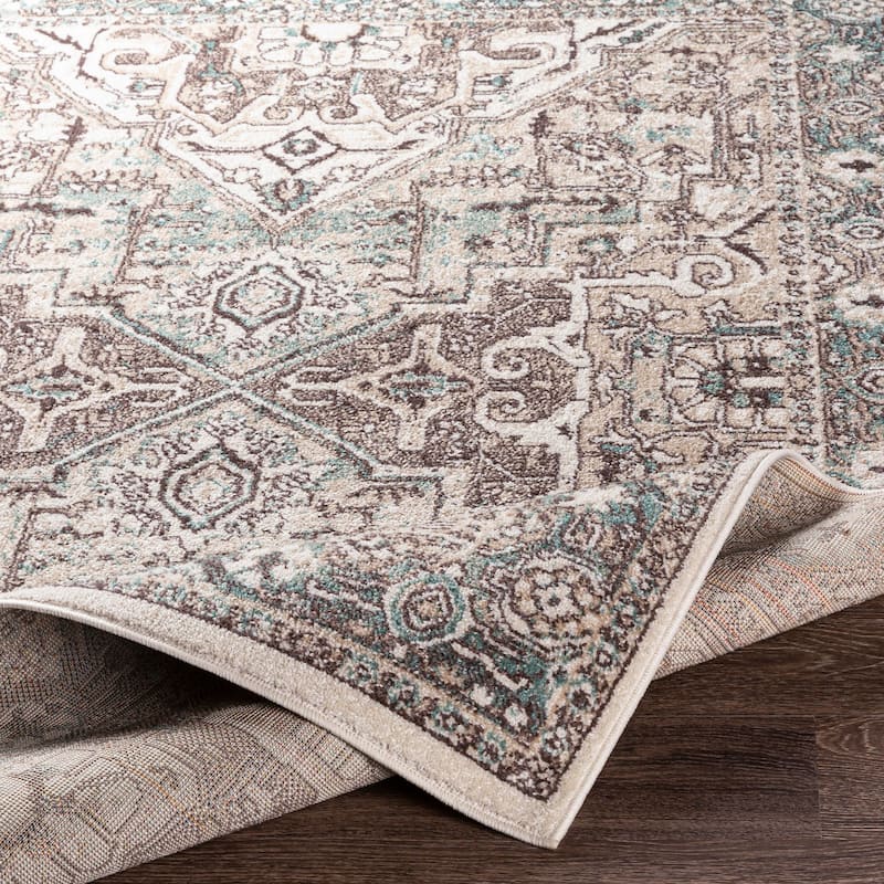 Livabliss Meena Traditional Oriental Area Rug