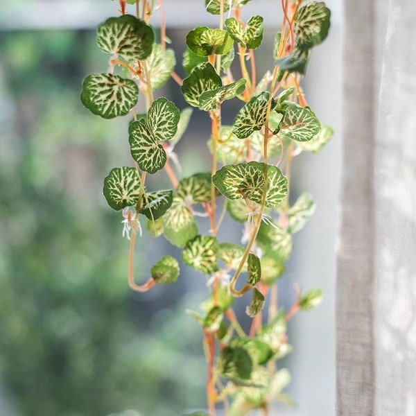 RusticReach Begonia Leaf Hanging Vine 27" Long