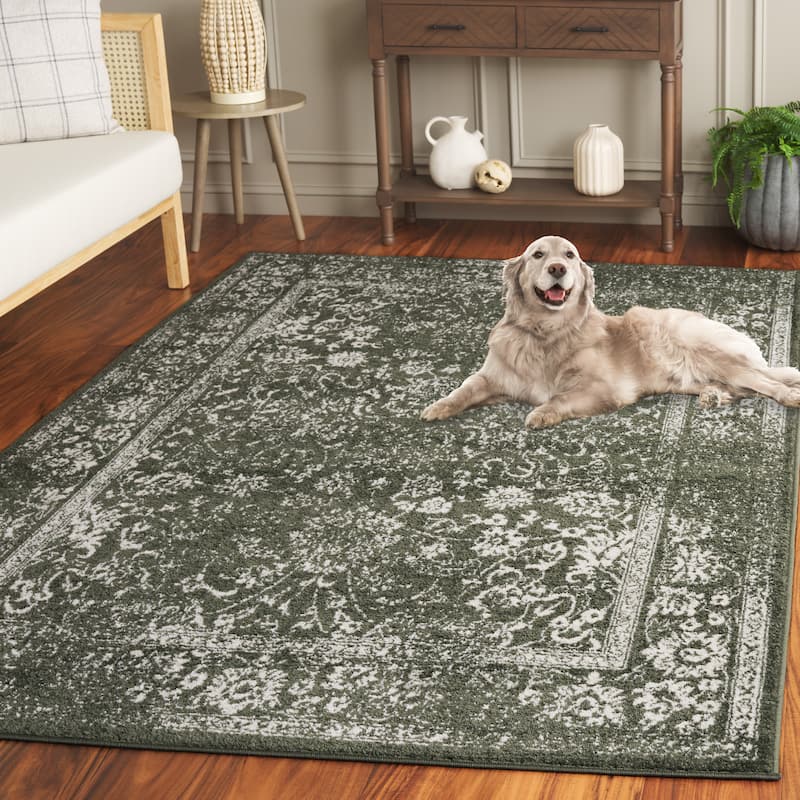 SAFAVIEH Adirondack Dakota Rustic Shabby Chic Distressed Rug