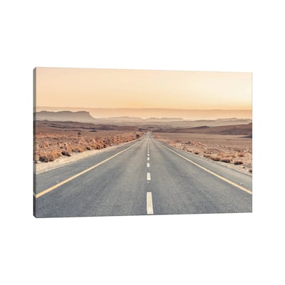 iCanvas "Desert Road" by Assaf Frank Canvas Print
