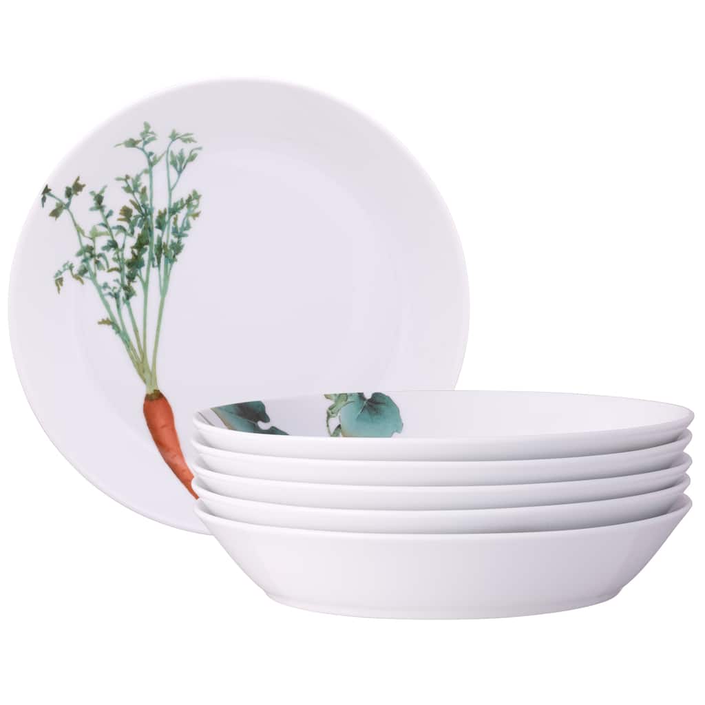 Kyoka Shunsai Set of 4 Coupe Dinner Bowls, 9-3/4", 43 oz.