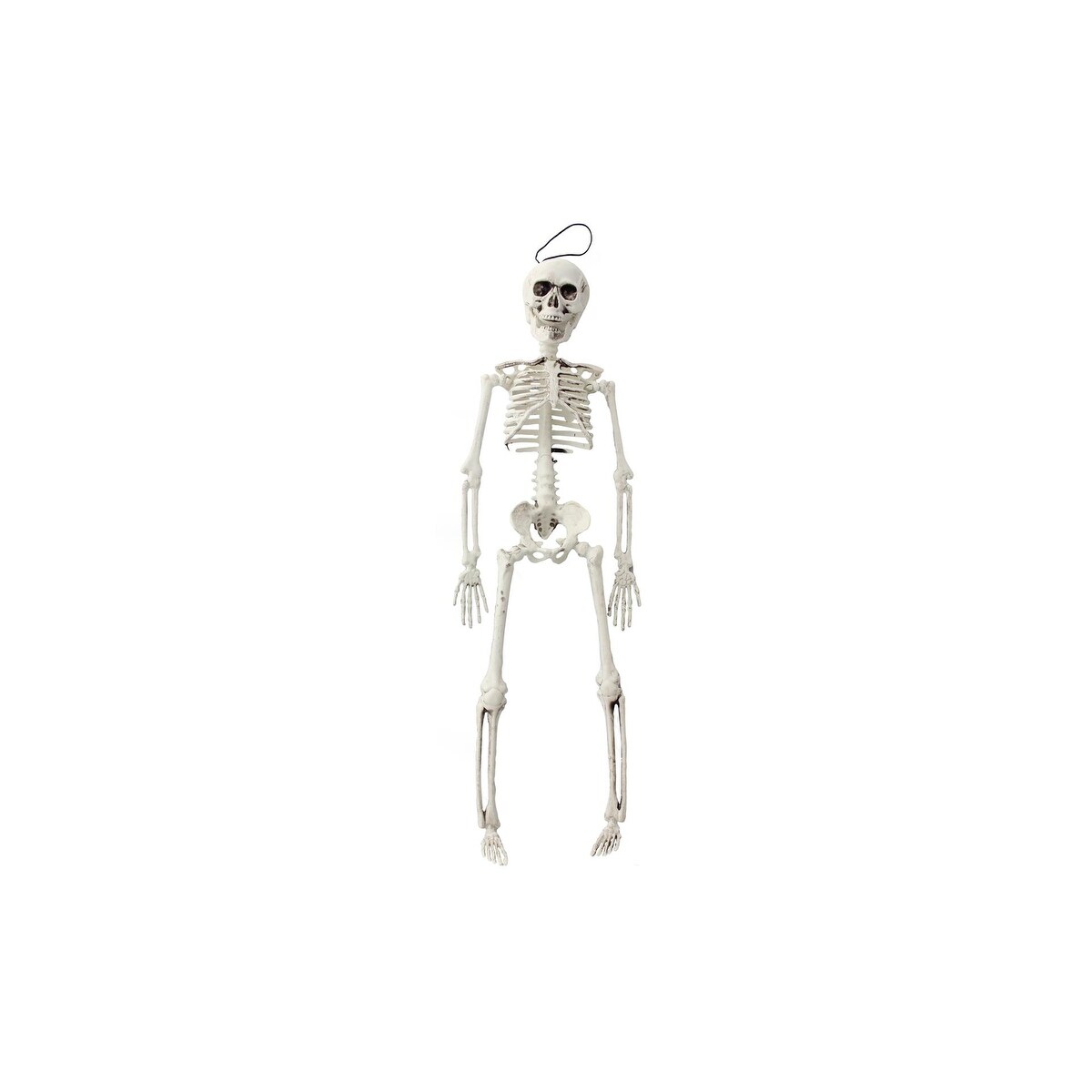 Darice Halloween Skeleton Arm 3.5 x 15.25 inches w 