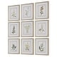 preview thumbnail 4 of 5, Uttermost Botanical Flowers Framed Prints, Set of 9