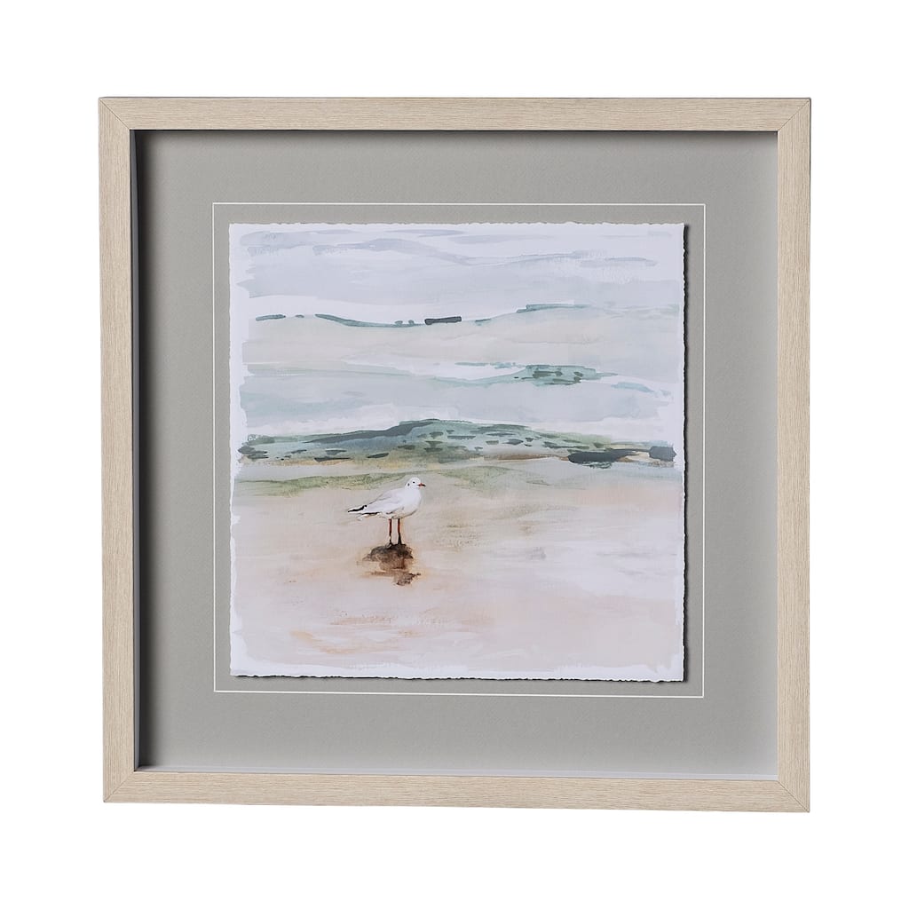 Seagull Cove I Framed Art Print