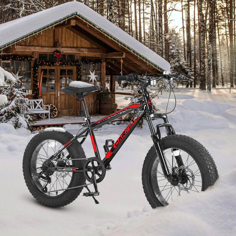 20-Inch Mountain Bike for Kids & Teenagers - High Carbon Steel Frame