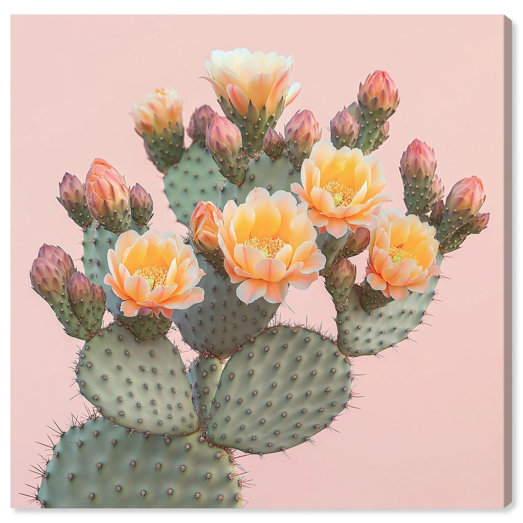 Pink and Prickly Canvas by Art Remedy, Gallery Wrapped