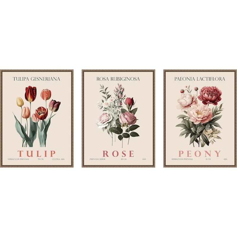 Amanti Art Vintage Rose Peony and Tulip 3 Piece by Christopher Giampietro Framed Canvas Wall Art
