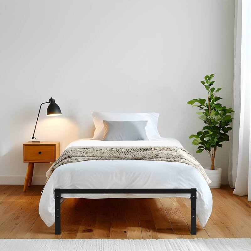 Homy Casa Metal Platform Bed Frame with RGB LED Light Strip