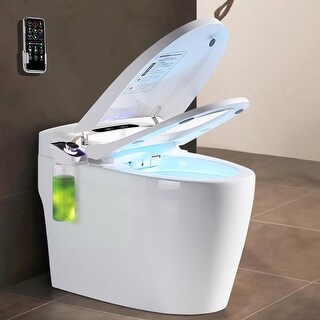 Black Ceramic Smart Toilet With Advance Bidet And Seat - Elongated