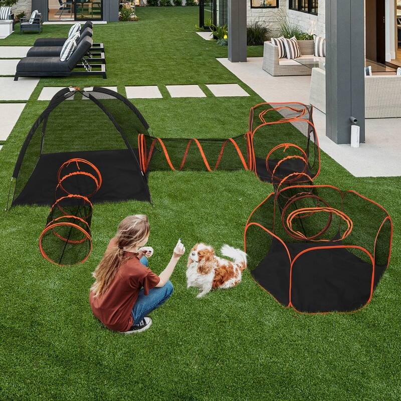 Outdoor Cat Play Tent with Tunnel