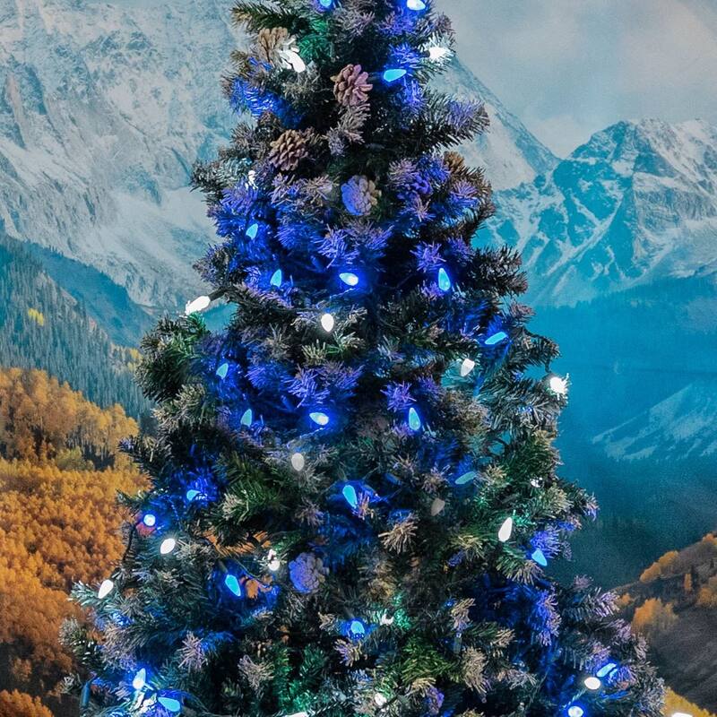 70 Light C6 LED Christmas Mini Light Set, Blue/Pure White, Green Wire, 24 Feet - Large