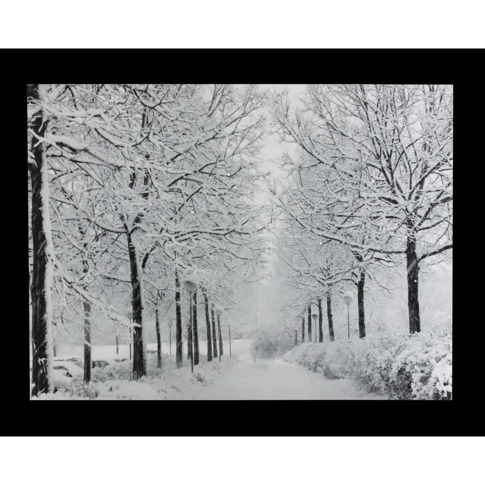 Shop 15 75 Fiber Optic Lighted Twinkling Snowy Winter Tree Scene