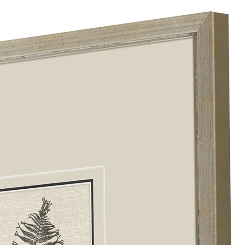 Petite Ferns S/4 Framed Art Exclusive Giclee Under Glass