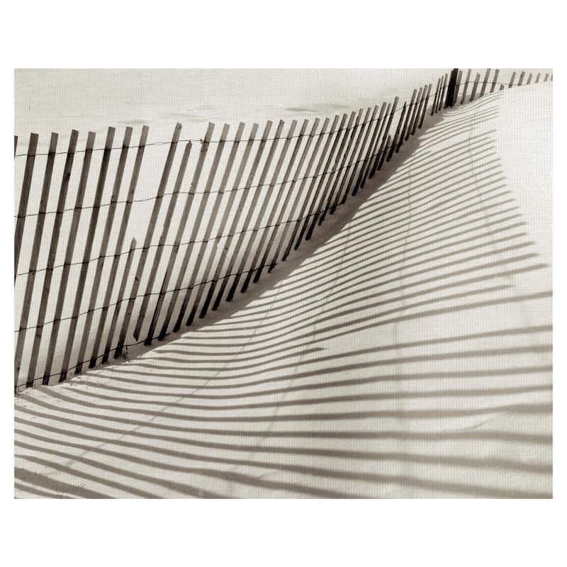 Island Sands #1 by Alan Blaustein Canvas Art Print