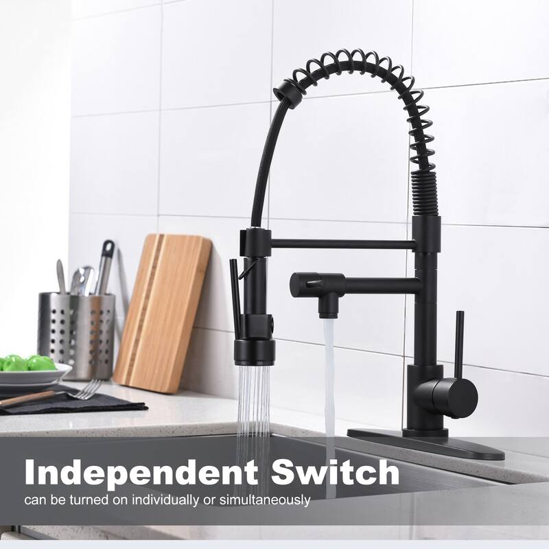 WOWOW Single Handle Pull Down Sprayer Kitchen Faucet with Advanced Spray