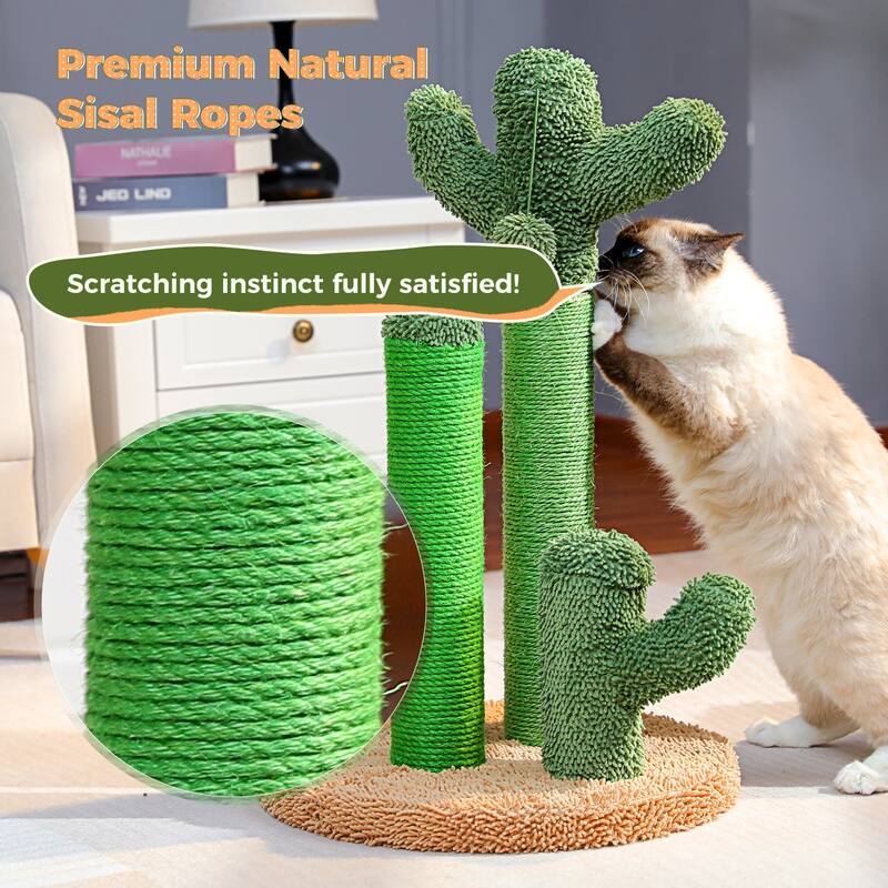 Oasis Series Lovely Cactus Cat Scratcher - L Size - Green+Brown
