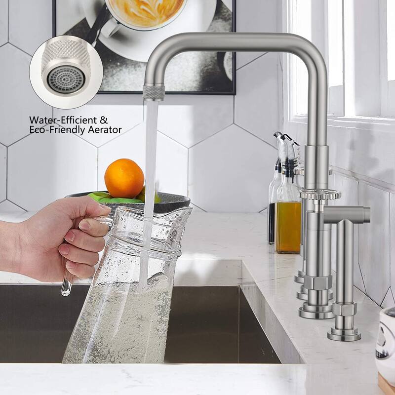 Dornberg 2 Handles Bridge Kitchen Faucet with Side Sprayer