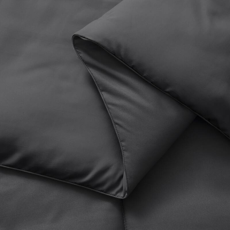 Clara Clark All-season Down Alternative Comforter