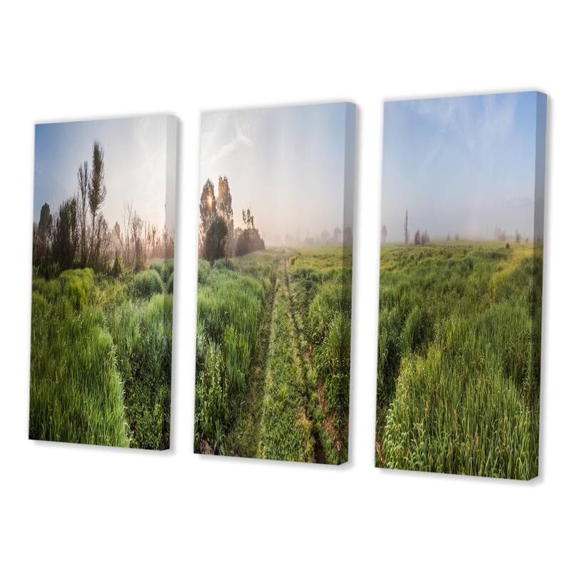 Designart "Rustic Landscape Pathway In The Fields" Country Canvas Wall