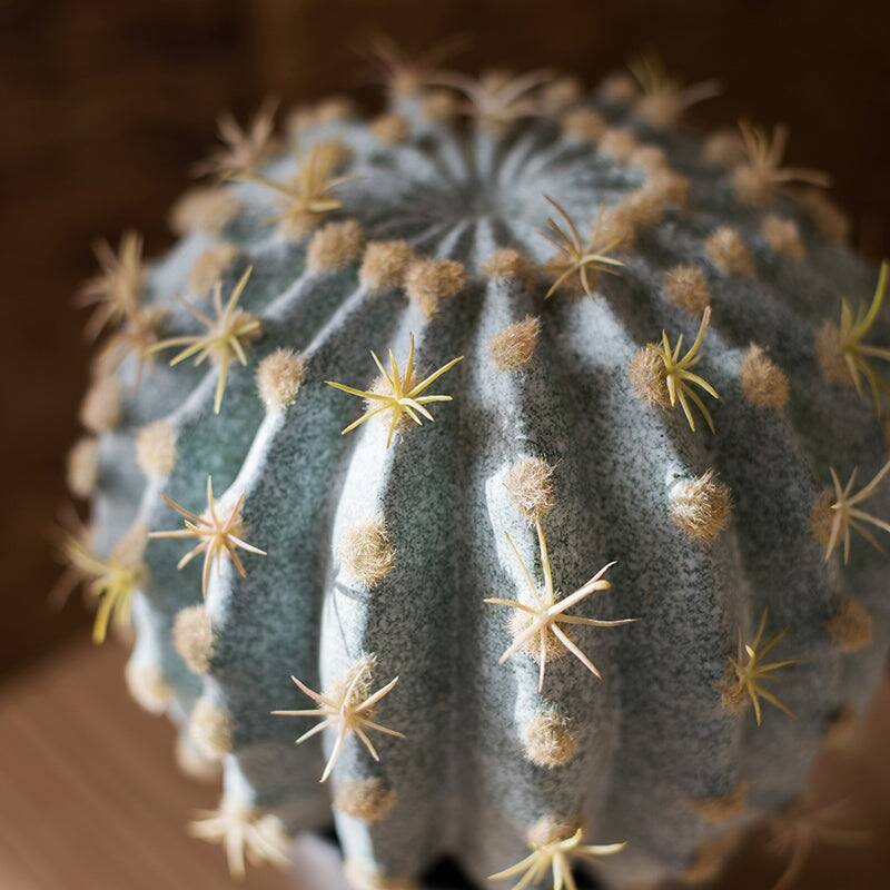 RusticReach Artificial Potted Cactus Ball