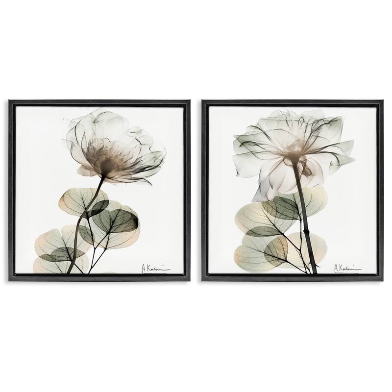 Stupell Cream Transparent Floral Framed Floater Canvas Wall Art Design By Albert Koetsier (Set of 2) - 25 x 25 - Black