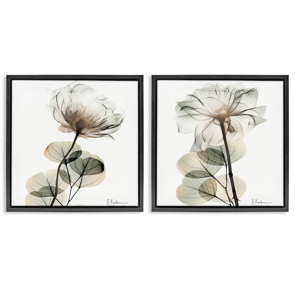 Stupell Cream Transparent Floral Framed Floater Canvas Wall Art Design By Albert Koetsier (Set of 2)