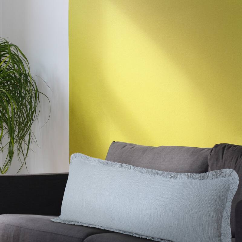 Sevita Solid Cotton Fringe Throw Pillow
