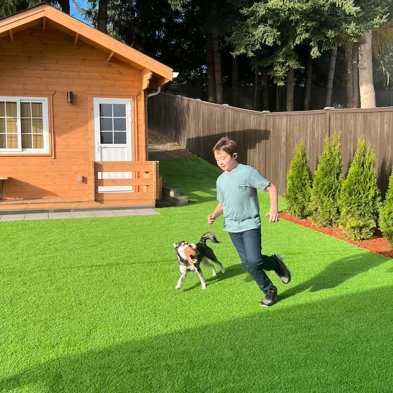 ALEKO Artificial Synthetic Landscape Fake 4 x 6 ft Grass Lawn Carpet Mat Turf - 4 x 6 ft