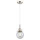 Option Polished Nickel / Seedy Shade