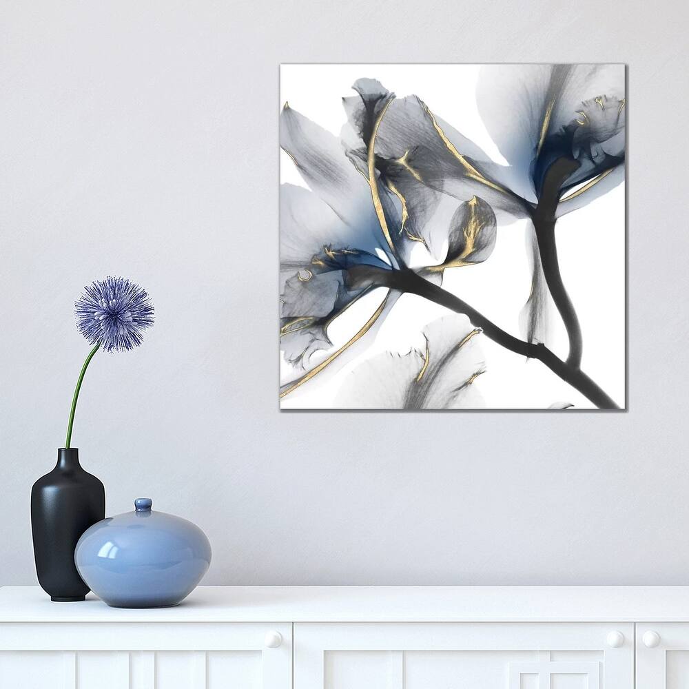 iCanvas "Indigo Luster Cyclamen II" by Albert Koetsier Canvas Print