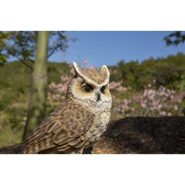 Owlet bed bath shop and beyond