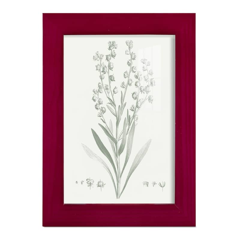 Botanical Study in Sage I -Framed Print w/glass-Cherry Red