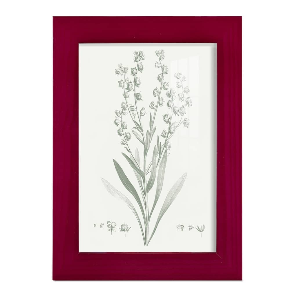 Botanical Study in Sage I -Framed Print w/glass-Cherry Red