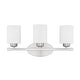 preview thumbnail 1 of 4, Dixon 20-inch 3-light Bath/ Vanity Fixture w/ Soft White Glass