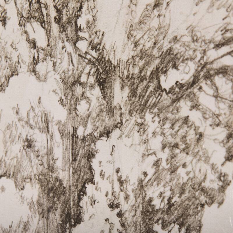 Westcoast Tree Drawing I (27 x 45) Canvas Art Print