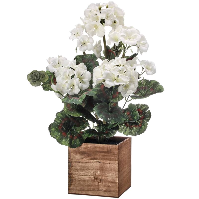 Potted Geranium In Wood Box 16.5"