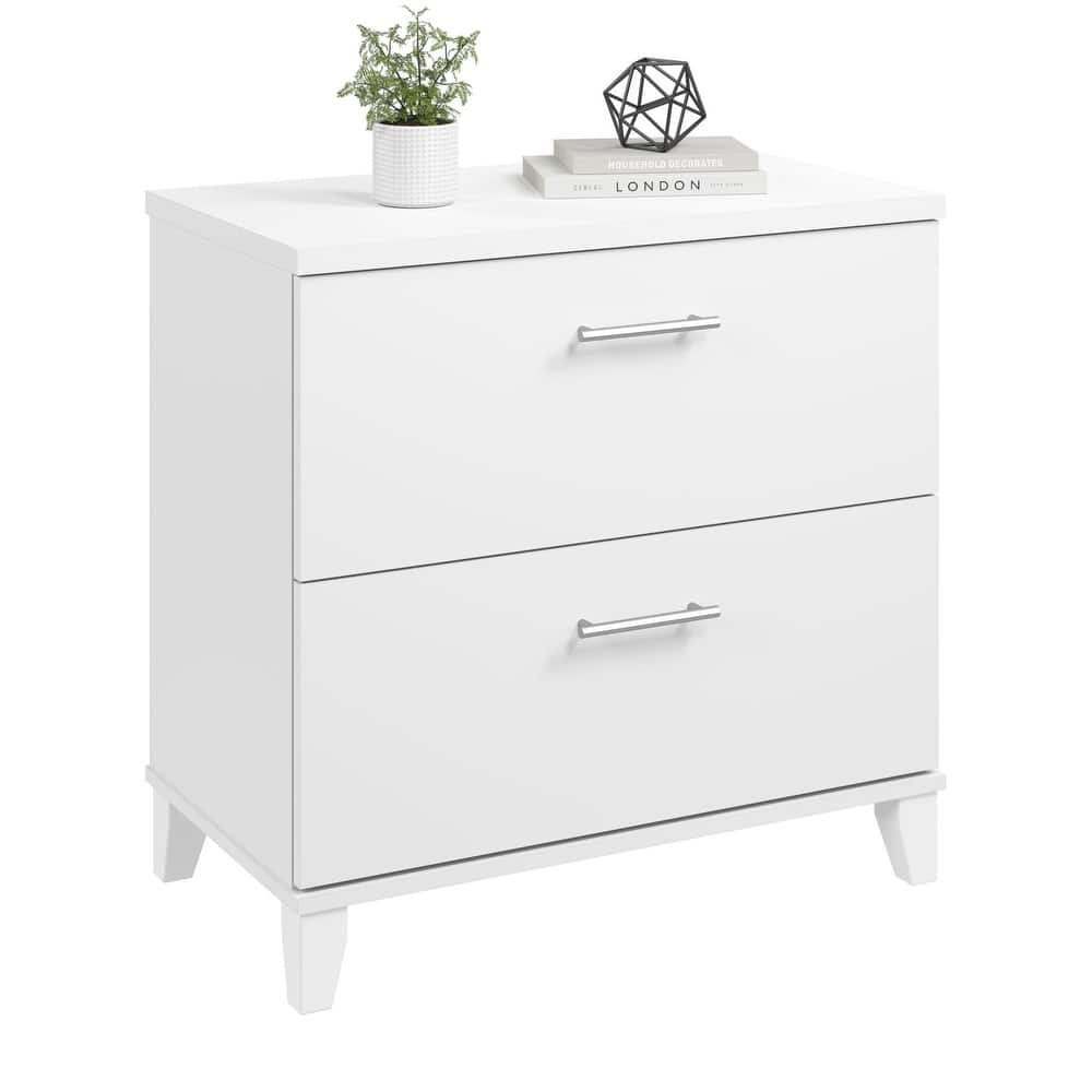 Bush Furniture Somerset 2 Drawer Lateral File Cabinet with Storage