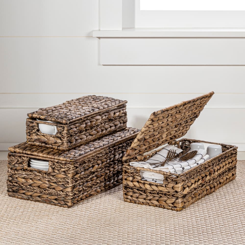 Handwoven Hyacinth Storage Baskets with HandleS & Lids (Set 3)