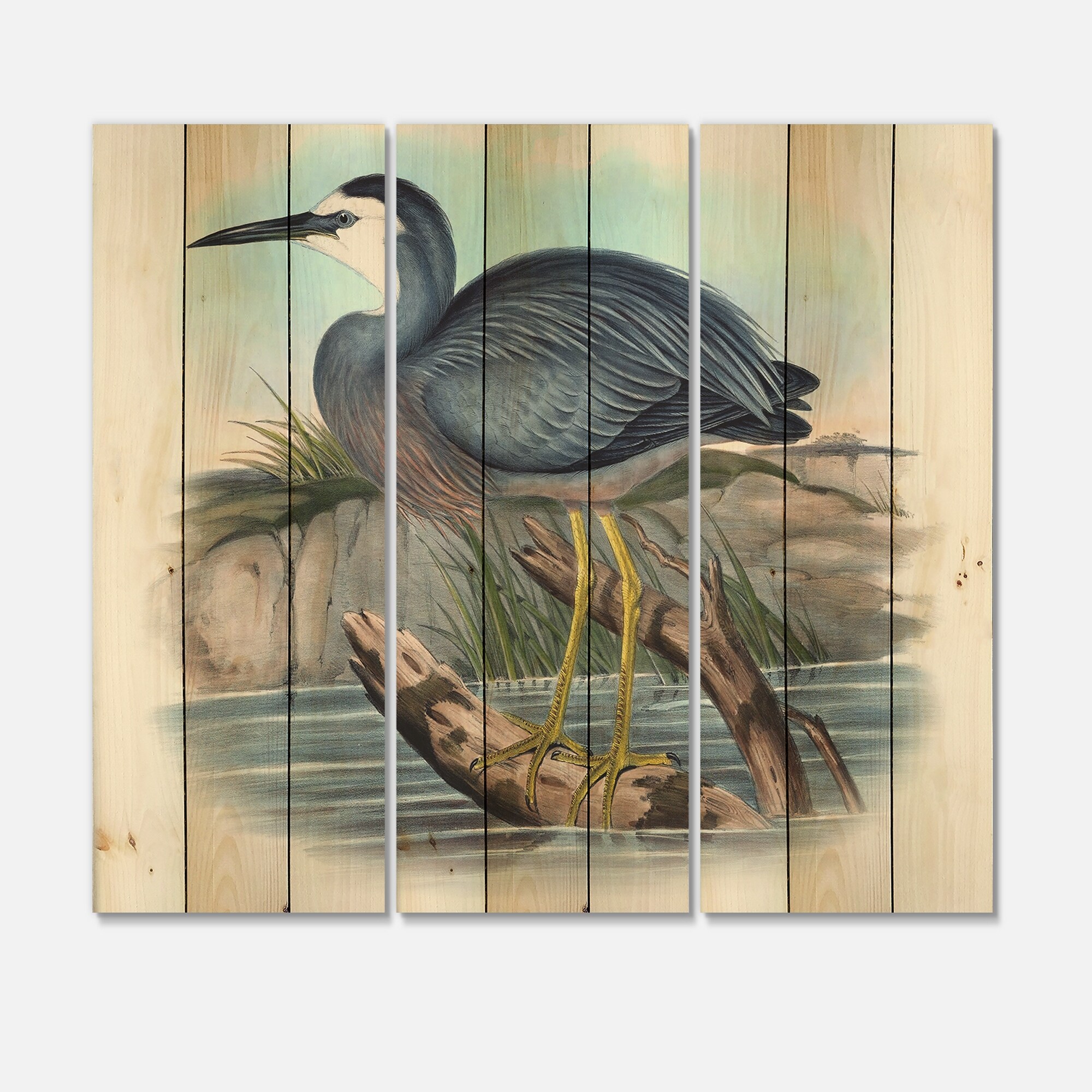 Designart 'Vintage Australian Birds II' Traditional Print on-image